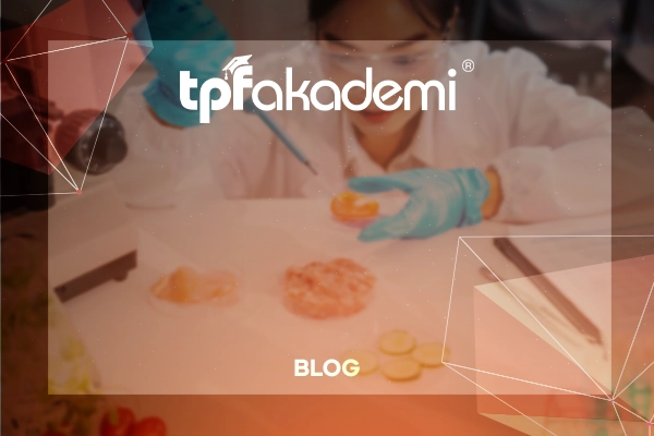 Gıda Sektöründe Kariyer Geliştirme: Sertifika Programları 2025