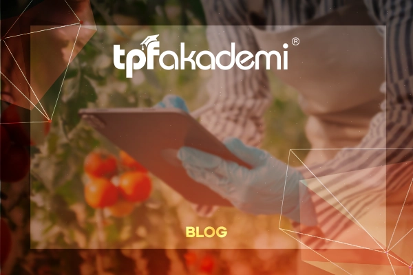 Gıda Sektöründe Teknolojik Eğitim