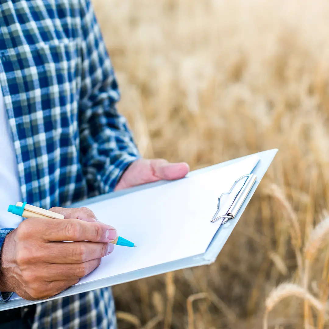 Perakende Sektörü İçin İşbirliği